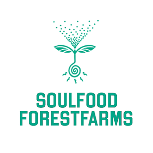 soulfood